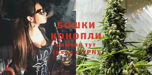spice Осинники